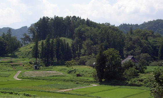 村画像