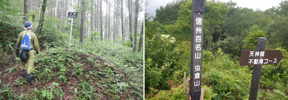 虫倉山登山道写真2