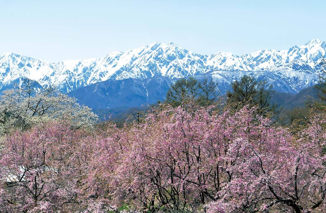 小川村