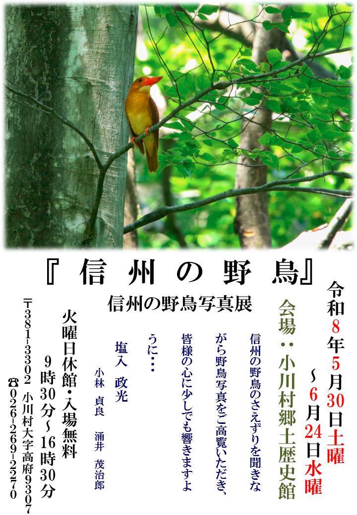 信州の野鳥写真展